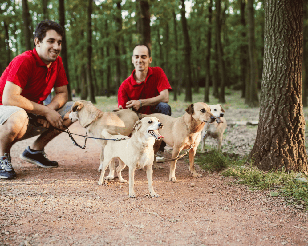 Out Team and Guarantee as ExecuPets Dog Walkers and Pet Sitters 