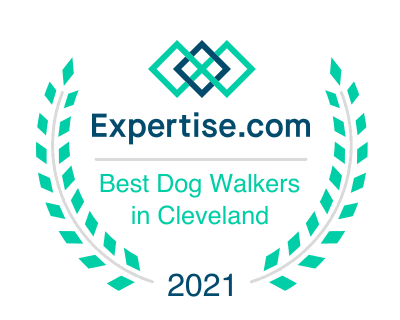 ExecuPets 2021 Expertise Best Dog Walkers in Cleveland